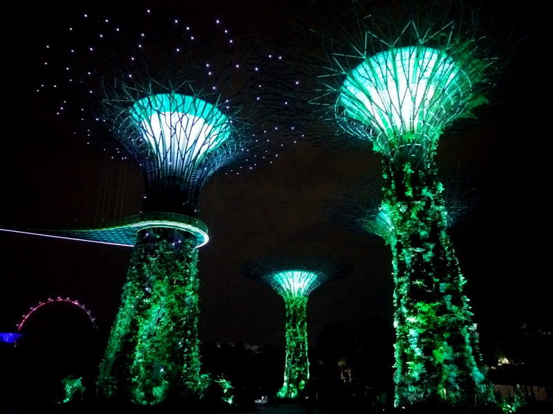 сады сингапура