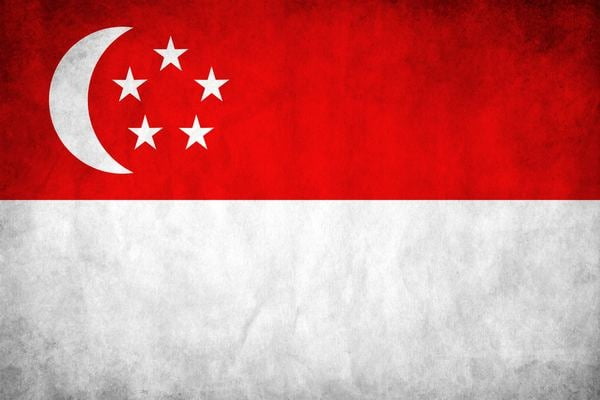 флаг сингапурв