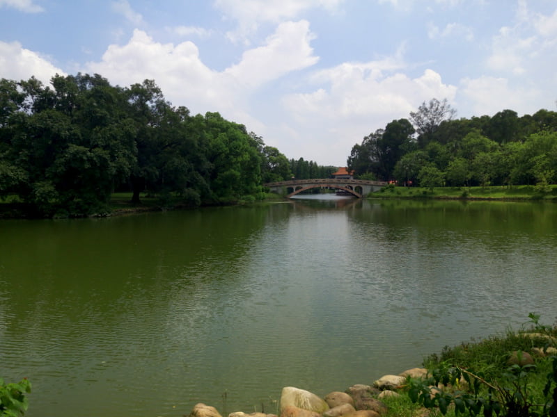 ботанический сад гуанчжоу