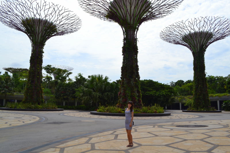 сады сингапура